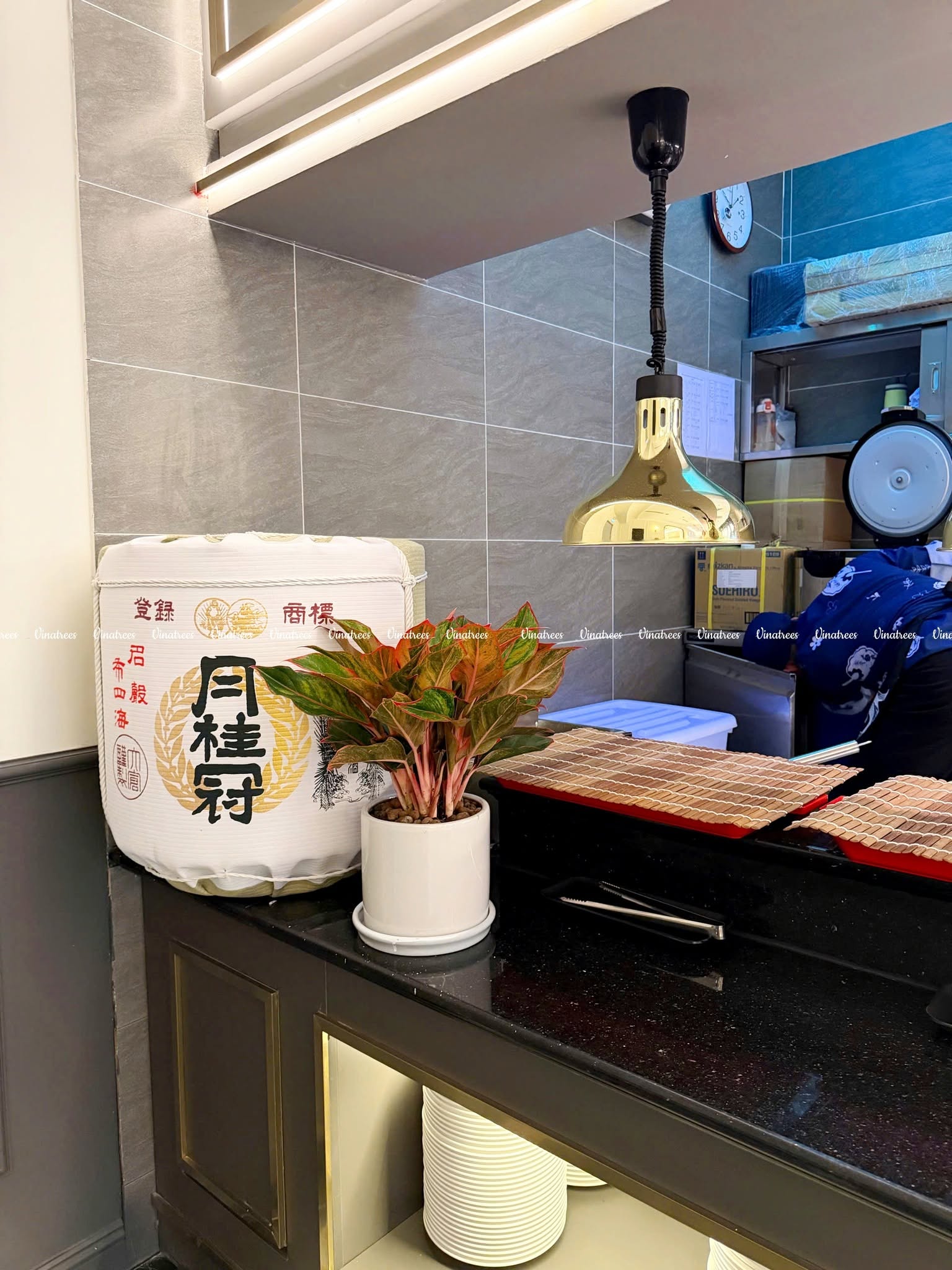 Vinatrees trang trí cây xanh văn phòng tại Hà Nội